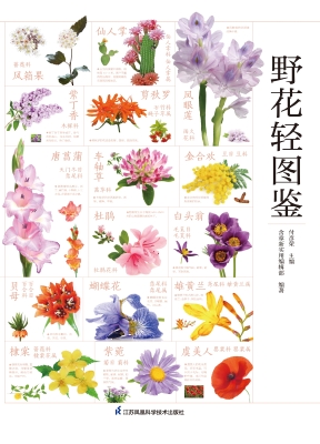野花轻图鉴