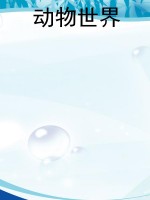 动物世界