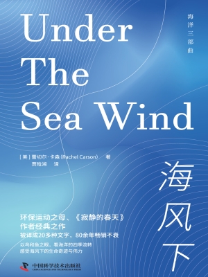海风下