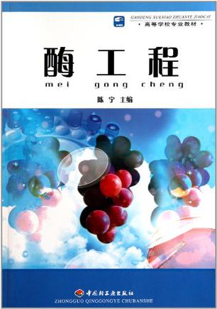 酶工程