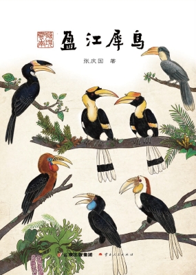 盈江犀鸟