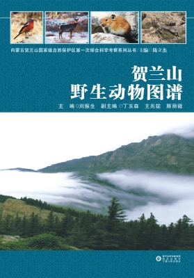 贺兰山野生动物图谱