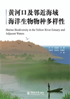 黄河口及邻近海域海洋