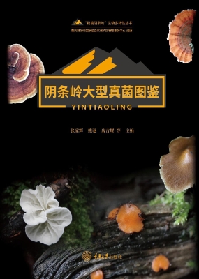 阴条岭大型真菌图鉴