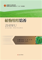 植物组织培养