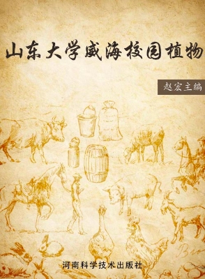 山东大学威海校园植物