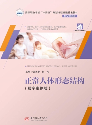 正常人体形态结构（数字