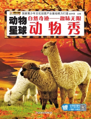 自然奇迹——趣味无限