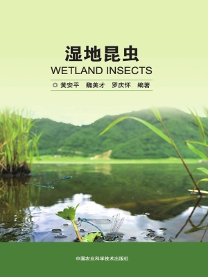 湿地昆虫