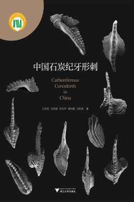 中国石炭纪牙形刺