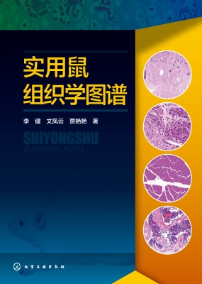 实用鼠组织学图谱