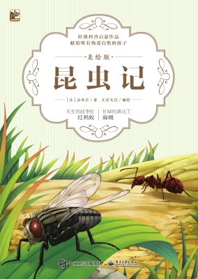 昆虫记·美绘版——天