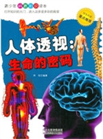 人体透视——生命的密