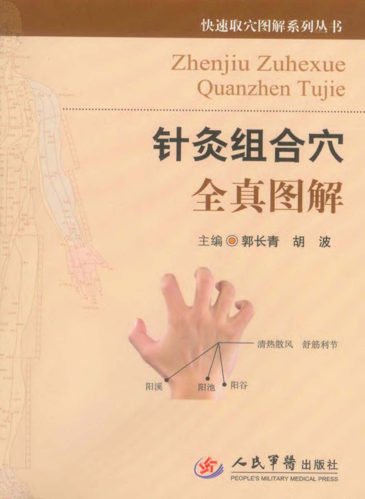 针灸组合穴全真图解