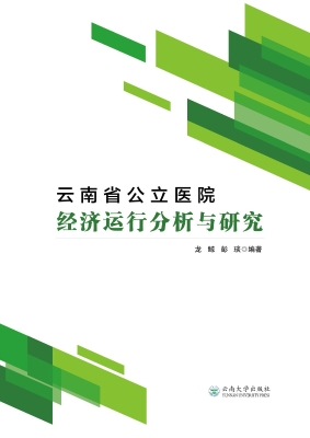 云南省公立医院经济运