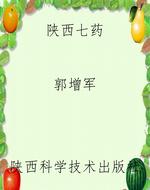 陕西七药