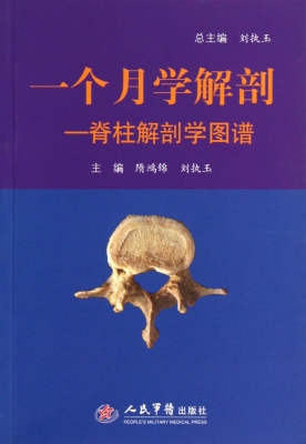 一个月学解剖——脊柱