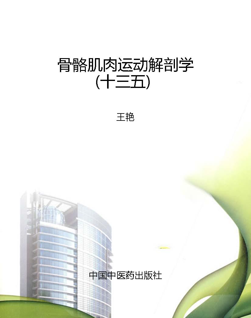 骨骼肌肉运动解剖学（十
