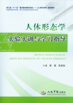 人体形态学实验实训与