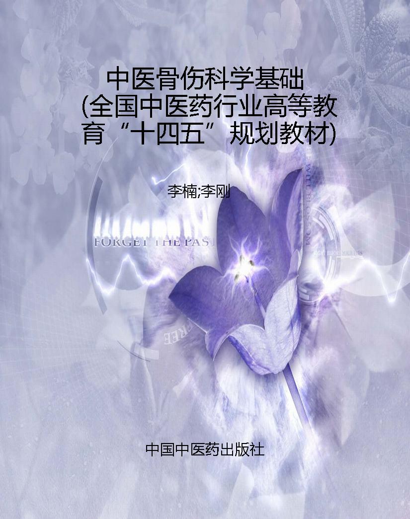中医骨伤科学基础（全国