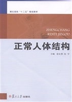 正常人体结构
