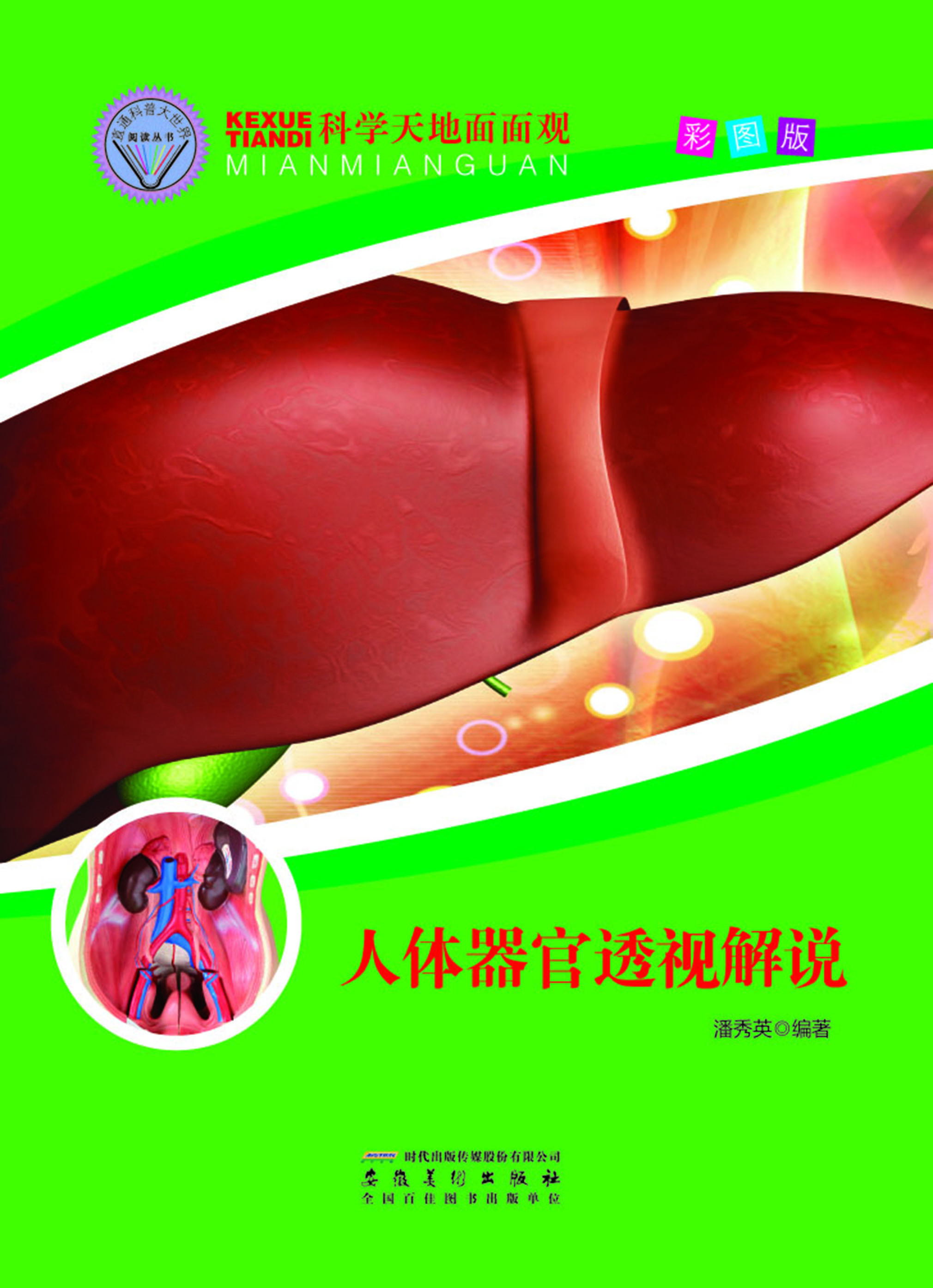 人体器官透视解说