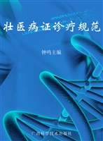 壮医病证诊疗规范