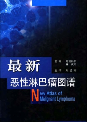 最新恶性淋巴瘤图谱
