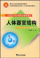 人体器官结构