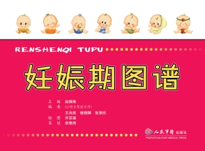 妊娠期图谱