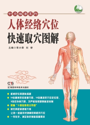 人体经络穴位快速取穴