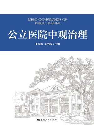 公立医院中观治理
