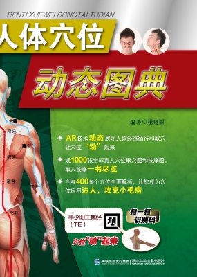 人体穴位动态图典