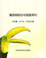 肾脏病防治与就医常识