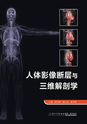 人体影像断层与三维解