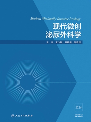现代微创泌尿外科学