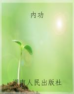 内功