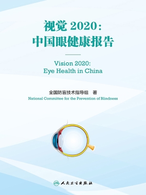 视觉2020：中国眼健康报