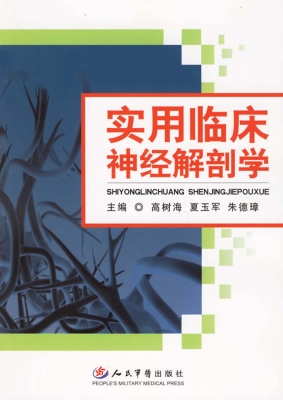 实用临床神经解剖学