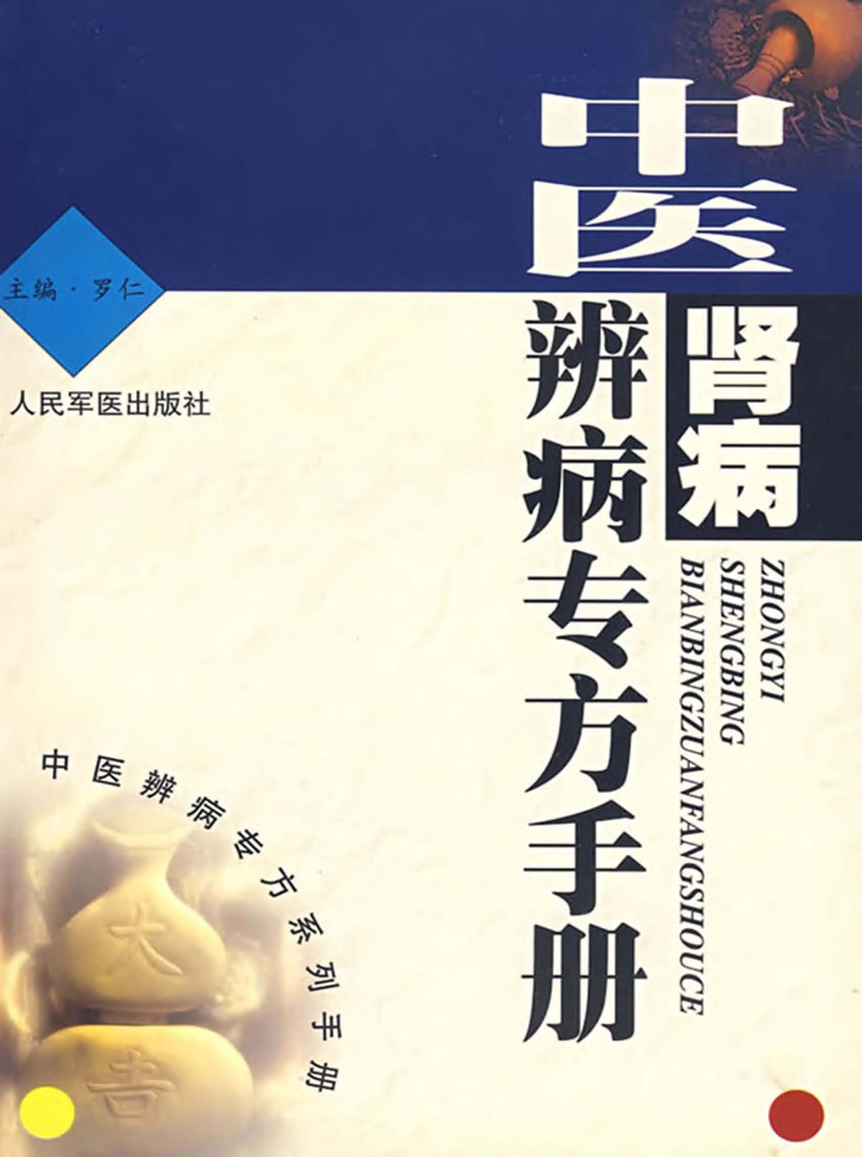 中医肾病辨病专方手册