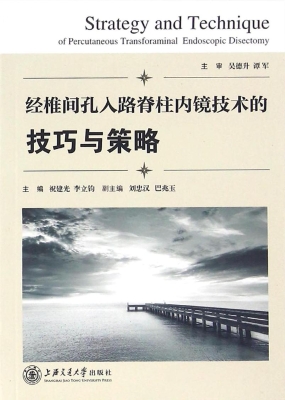 经椎间孔入路脊柱内镜