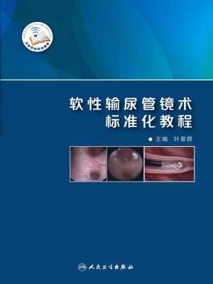 软性输尿管镜术标准化