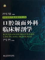 口腔颌面外科临床解剖