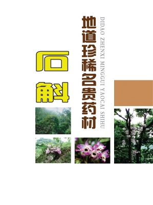 地道珍稀名贵药材石斛