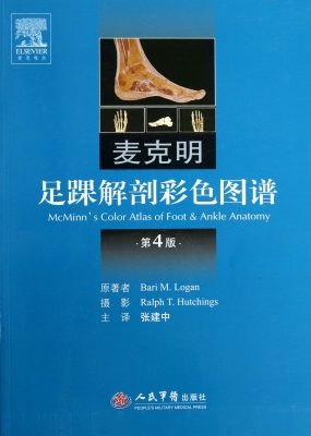 麦克明足踝解剖彩色图