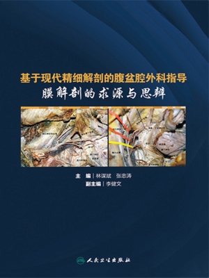 基于现代精细解剖的腹