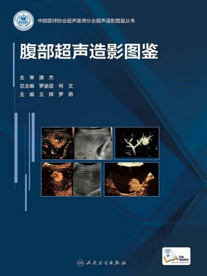 腹部超声造影图鉴