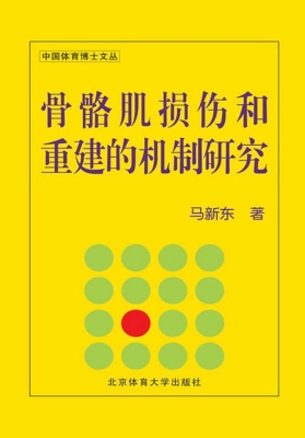 骨骼肌损伤和重建的机