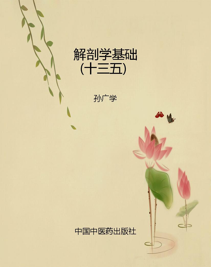 解剖学基础（十三五）