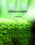 实用神经外科疾病学